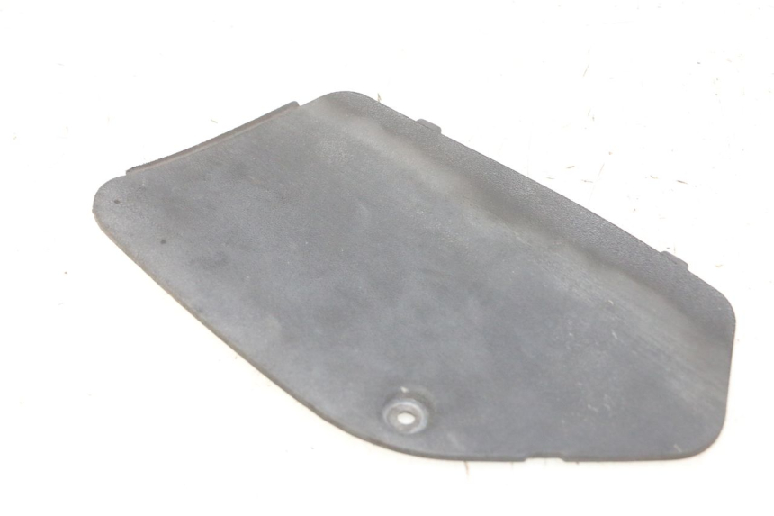 photo de SPORTA DI ISPEZIONE SINISTRA PIAGGIO MP3 500 (2011 - 2015) - Vista principale