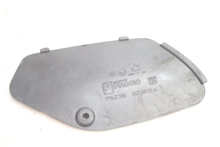 photo de SPORTELLO SINISTRO PIAGGIO X8 STREET 125 (2006 - 2007) - Primo piano tecnico