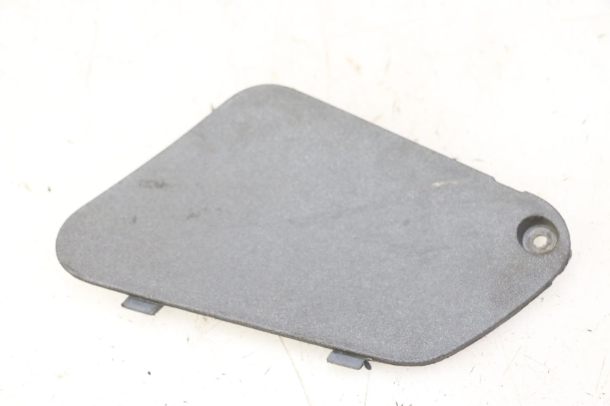 photo de SPORTA DI ISPEZIONE SINISTRA PIAGGIO X9 EVOLUTION 125 (2003 - 2007) - Vista principale