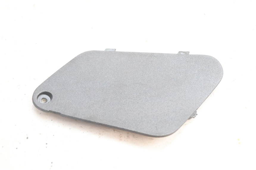 photo de SPORTELLO SINISTRO PIAGGIO X9 EVOLUTION 125 (2003 - 2007) - Dettaglio del componente