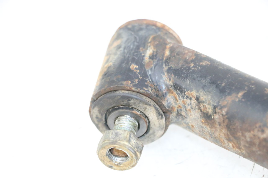 photo de BRACCIO OSCILLANTE POSTERIORE YAMAHA YFM GRIZZLY 550 (2008 - 2015) - Panoramica del profilo