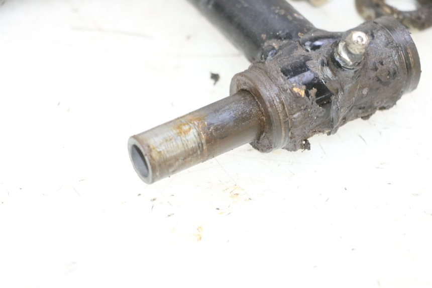 photo de BRACCIO OSCILLANTE ANTERIORE YAMAHA YFM R RAPTOR 250 (2008 - 2014) - Focus sulla struttura