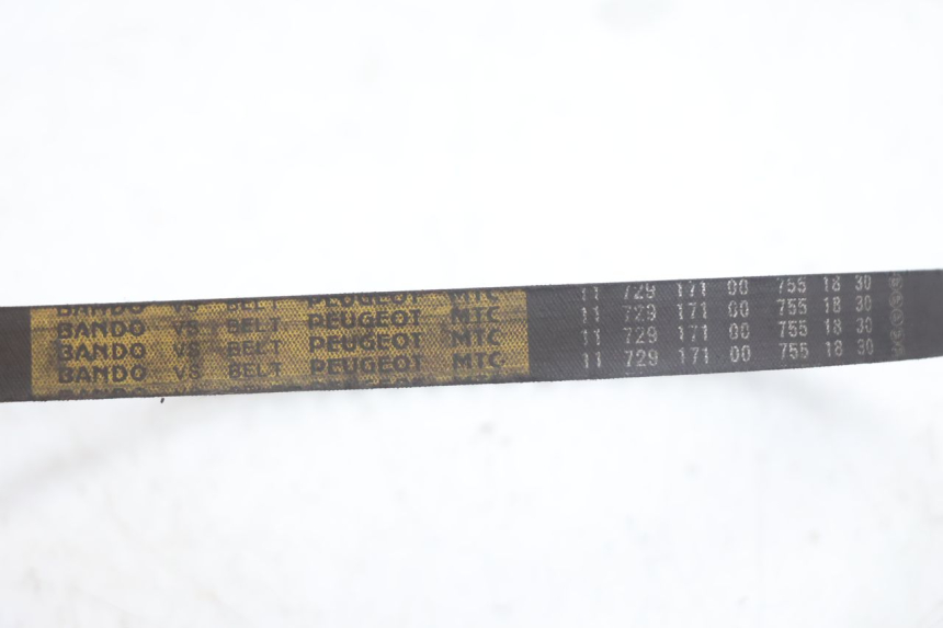 photo de VARIATORE PEUGEOT KISBEE 2T 50 (2010 - 2017) - Zoom sui componenti