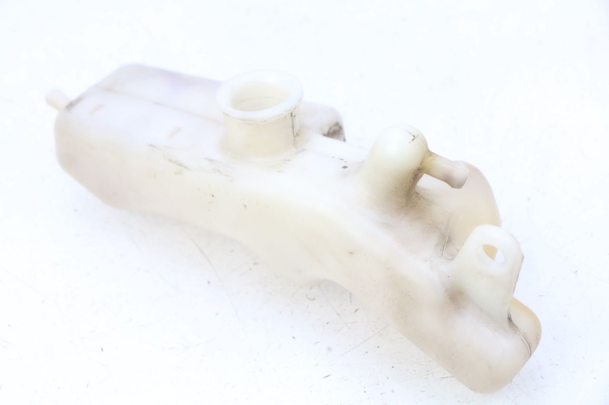 photo de VASETTO ESPANSIONE HONDA FES PANTHEON 2T 125 (1998 - 2002) - Zoom sullo stato d'uso