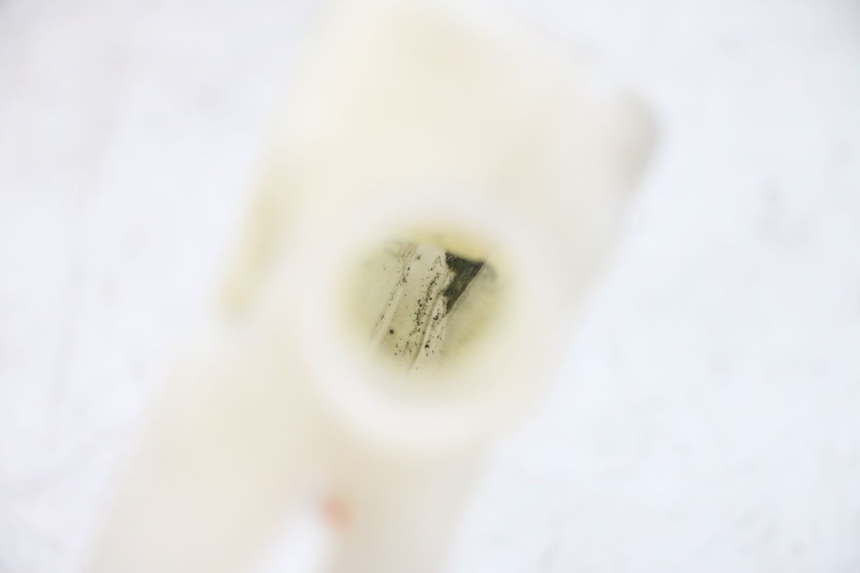 photo de VASO DI ESPANSIONE YAMAHA FJR ABS 1300 (2006 - 2012) - Dettaglio del componente