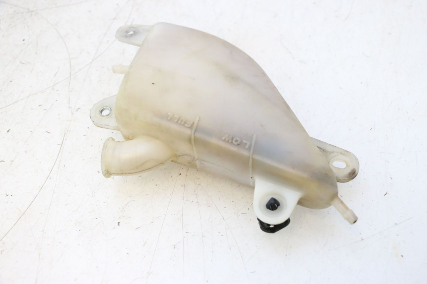 photo de VASO ESPANSIONE YAMAHA FJR 1300 (2001 - 2005) - Vista principale