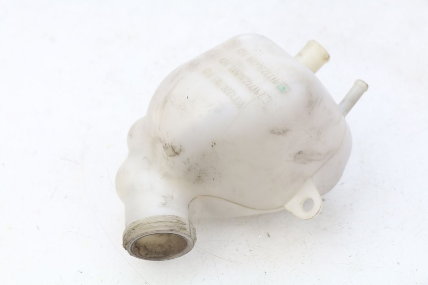 photo de VASETTO ESPANSIONE PEUGEOT GEOPOLIS 400 (2007 - 2013) - Altra angolazione