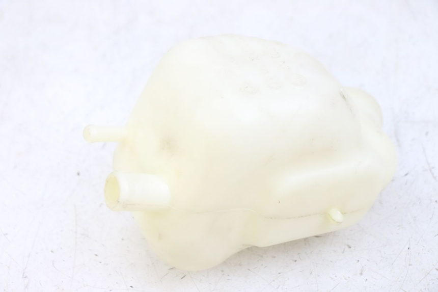 photo de VASO ESPANSIONE PEUGEOT GEOPOLIS RS 125 (2007 - 2009) - Dettaglio del componente