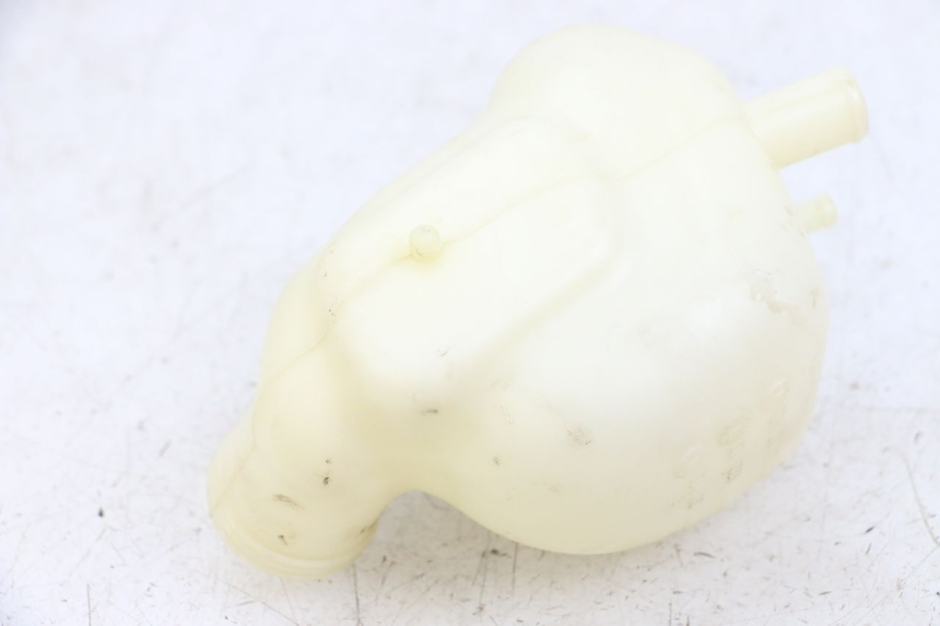 photo de VASO ESPANSIONE PEUGEOT GEOPOLIS RS 125 (2007 - 2009) - Dettaglio del componente