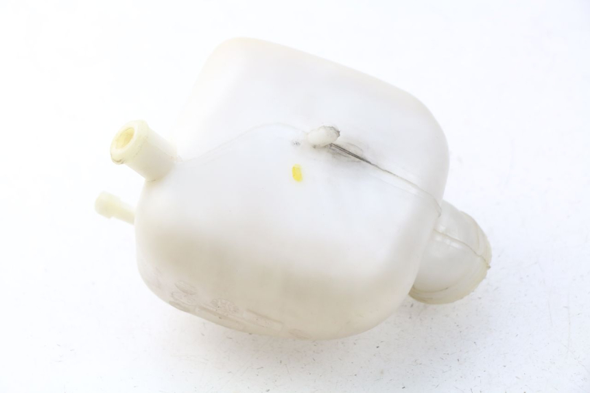 photo de Vaso di espansione PEUGEOT SATELIS 300 (2012 - 2015) - Dettaglio del componente