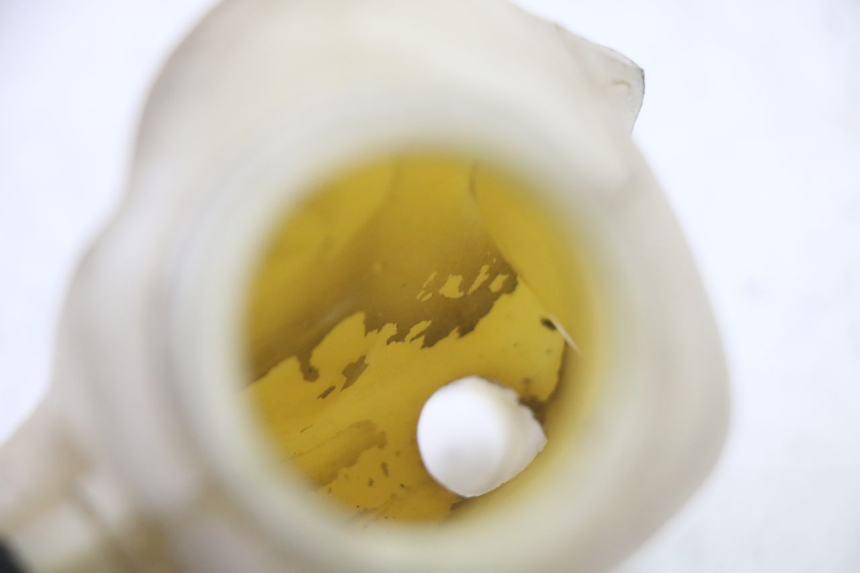 photo de VASO ESPANSIONE APRILIA SCARABEO GT TOURING 125 (1999 - 2005) - Vista d'insieme del prodotto