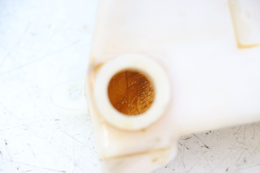 photo de VASO ESPANSIONE TRIUMPH SPRINT 900 (1995 - 1998) - Altra angolazione