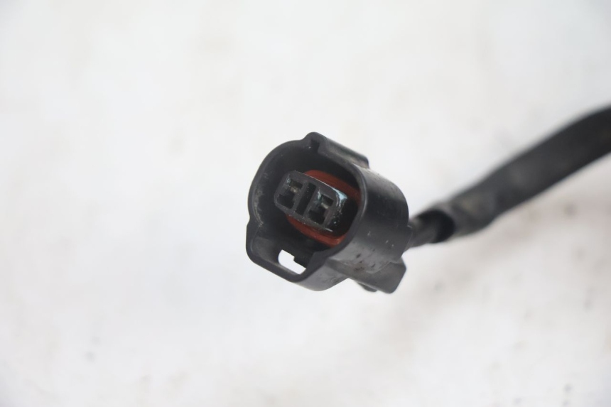 photo de VENTOLA SUZUKI BURGMAN EXECUTIVE ABS 650 (2006 - 2012) - Primo piano tecnico