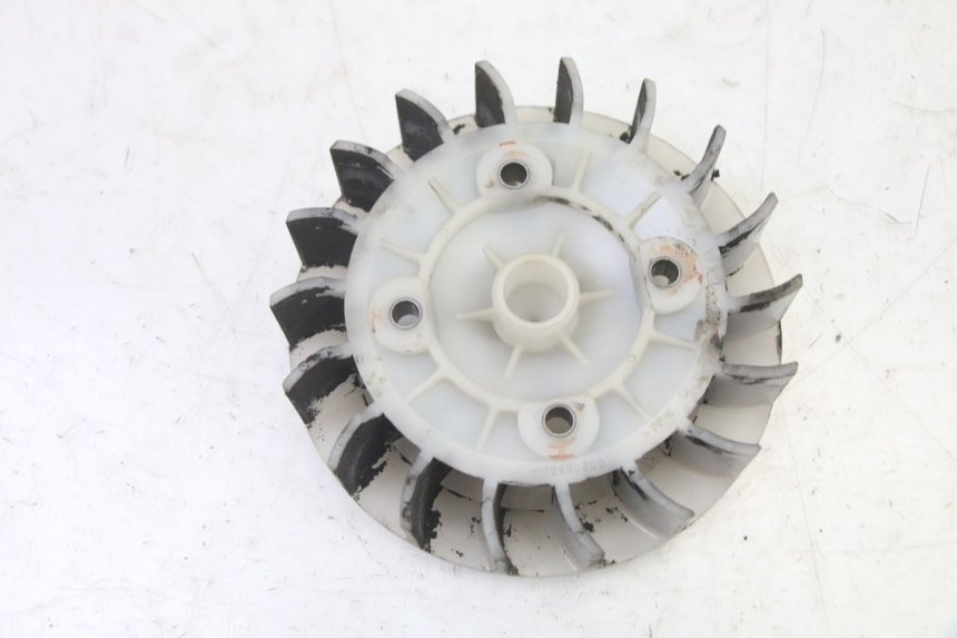 photo de VENTILATORE PEUGEOT ELYSTAR 50 (2002 - 2014) - Zoom sullo stato d'uso