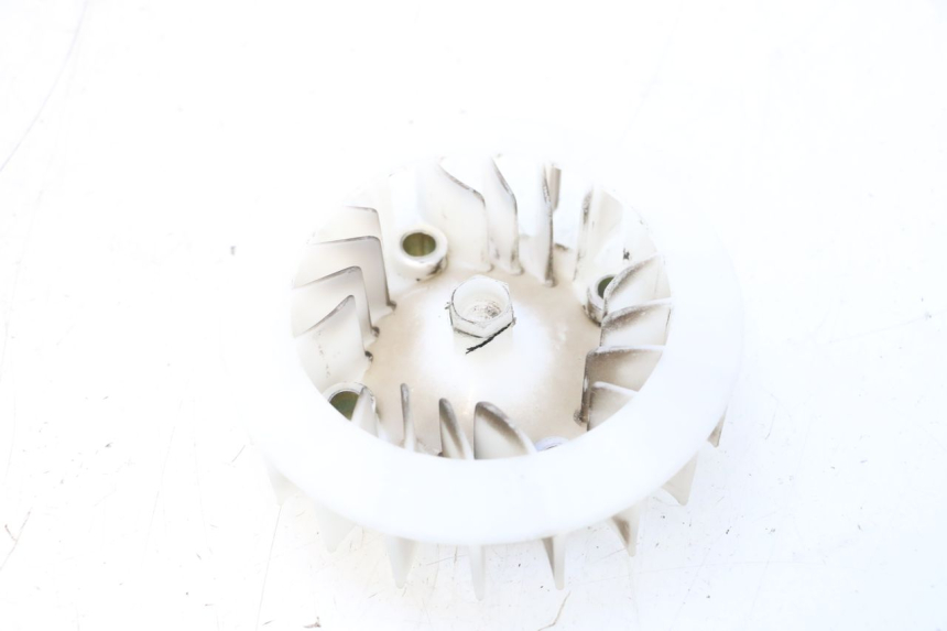 photo de VENTILATORE JM MOTORS EVOLIS 4T 50 (2018 - 2022) - Vista principale
