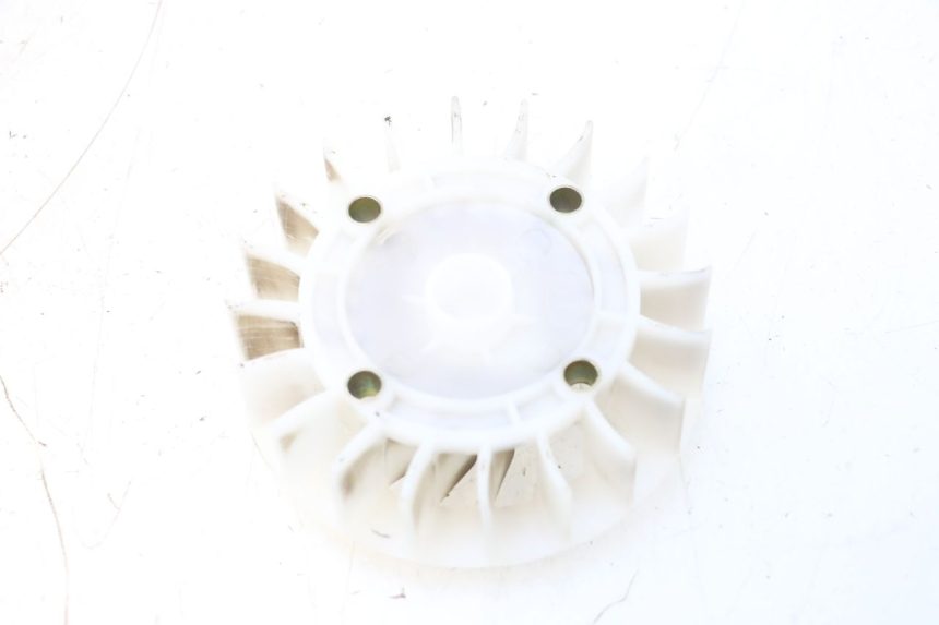 photo de VENTILATORE JM MOTORS EVOLIS 4T 50 (2018 - 2022) - Dettaglio del componente