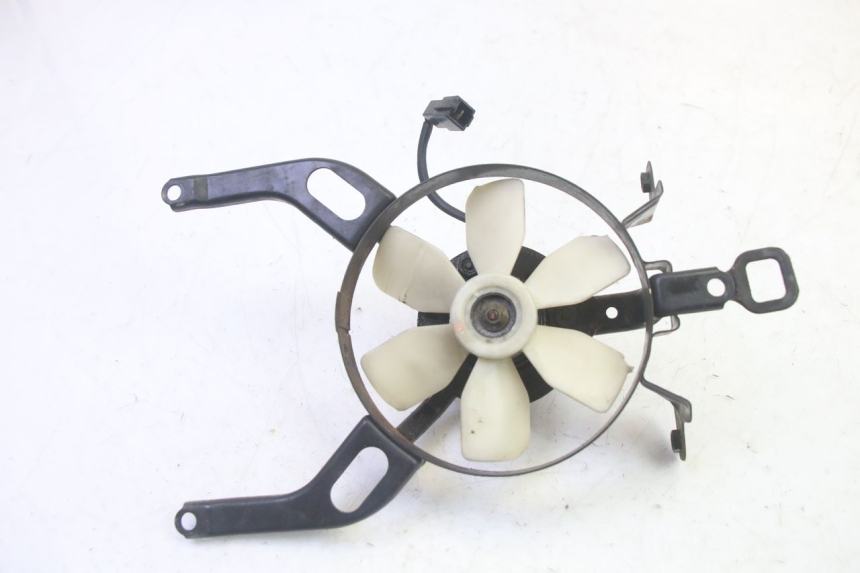 photo de VENTOLA KAWASAKI GPX R WARBIRD 600 (1988 - 1993) - Vista principale