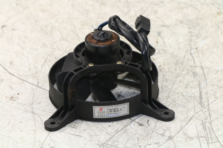 photo de VENTILATORE SYM JOYRIDE 125 (2002 - 2009) - Dettaglio del componente