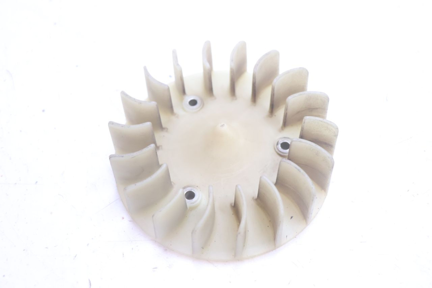 photo de VENTILATORE PEUGEOT KISBEE 2T 50 (2010 - 2017) - Vista principale