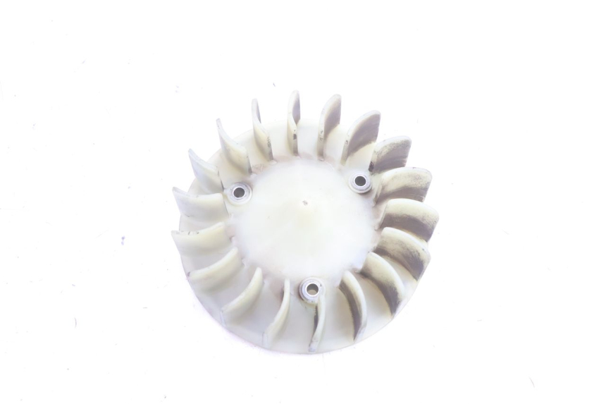 photo de VENTILATORE PEUGEOT KISBEE 2T 50 (2010 - 2017) - Vista principale