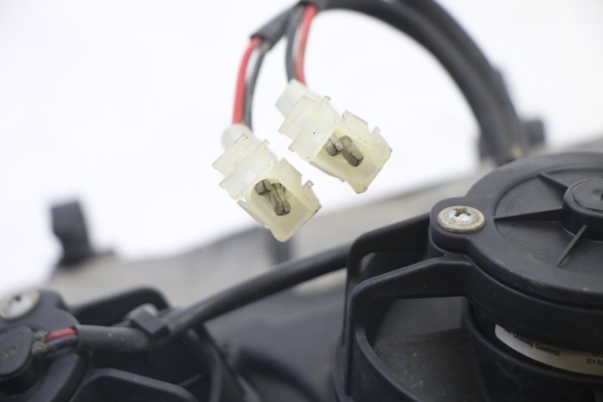 photo de VENTOLA KTM SUPERENDURO R 950 (2005 - 2009) - Stato della superficie e materiale