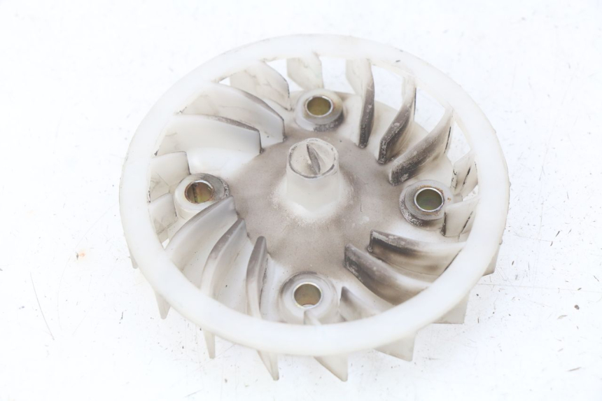 photo de VENTILATORE PEUGEOT TWEET ACTIVE 4T 50 (2018 - 2022) - Vista principale