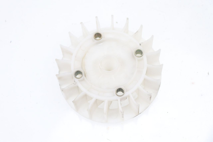 photo de VENTILATORE JM MOTORS VIPER 4T 50 (2015 - 2022) - Dettaglio del componente
