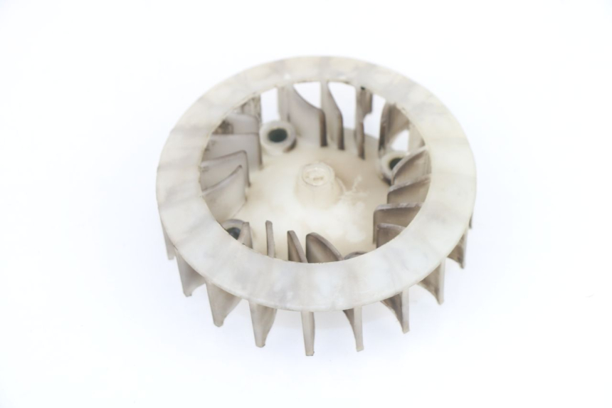 photo de VENTILATORE ROADSIGN WALLABY 50 (2009 - 2014) - Dettaglio del componente