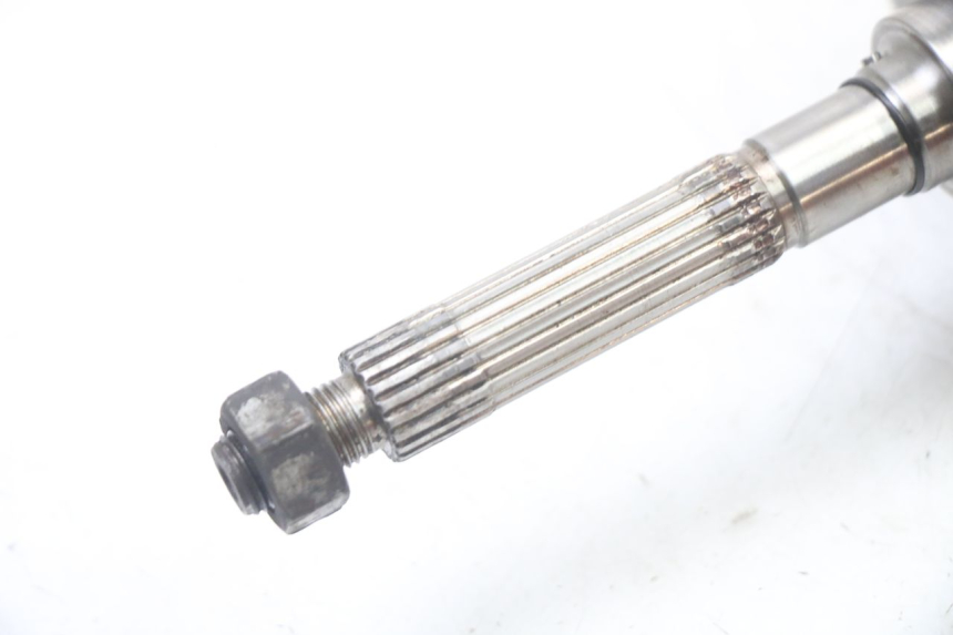 photo de ALBERO MOTORE GILERA NEXUS 300 (2008 - 2013) - Dettaglio del componente