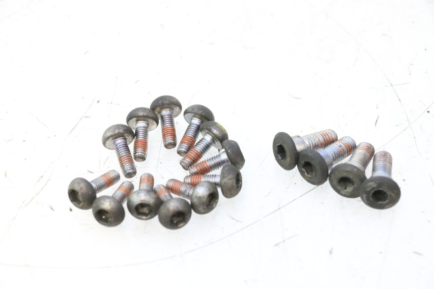 photo de BULLONE DEL DISCO DEL FRENO HONDA CB F HORNET 600 (2005 - 2006) - Vista d'insieme del prodotto
