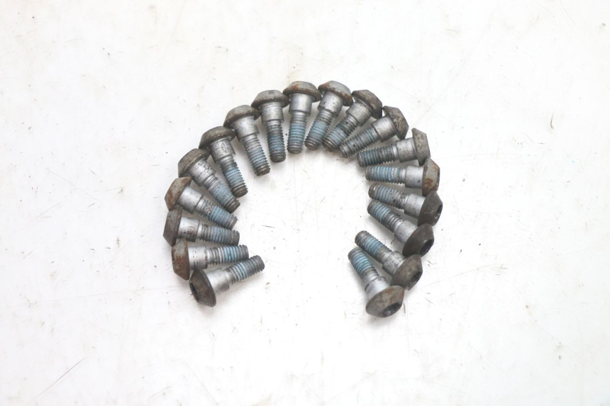 photo de BULLONE DEL DISCO DEL FRENO YAMAHA FJR 1300 (2001 - 2005) - Dettaglio del componente