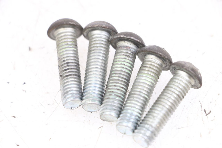 photo de BULLONE DEL DISCO DEL FRENO PEUGEOT GEOPOLIS RS 125 (2007 - 2009) - Zoom sullo stato d'uso