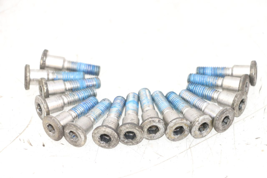 photo de BULLONE DEL DISCO DEL FRENO SUZUKI GSXR GSX-R 1000 (2003 - 2004) - Vista principale