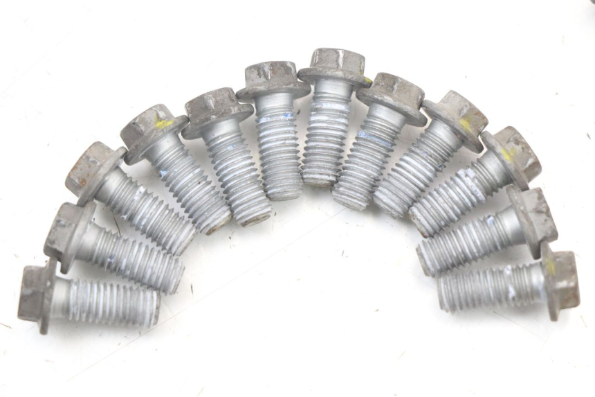 photo de BULLONE DEL DISCO DEL FRENO MOTO GUZZI NORGE 8V GT 1200 (2011 - 2016) - Zoom sullo stato d'uso