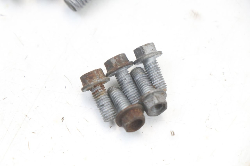 photo de BULLONE DEL DISCO DEL FRENO MOTO GUZZI NORGE 8V GT 1200 (2011 - 2016) - Vista d'insieme del prodotto