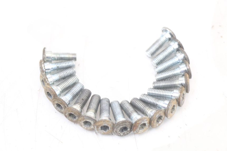 photo de BULLONE DEL DISCO DEL FRENO REGAL RAPTOR RAXTER 2 125 (2007 - 2015) - Vista principale