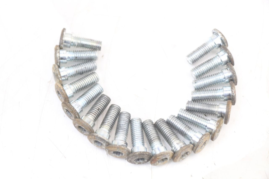 photo de BULLONE DEL DISCO DEL FRENO REGAL RAPTOR RAXTER 2 125 (2007 - 2015) - Dettaglio del componente