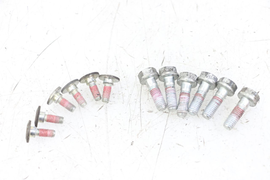 photo de BULLONE DEL DISCO DEL FRENO ROYAL ENFIELD HYMALAYAN 410 (2016 - 2023) - Vista principale