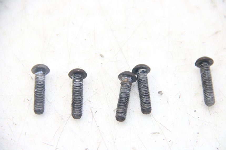 photo de VIS DISCO DEL FRENO GILERA RUNNER SP 50 (2009 - 2017) - Vista principale