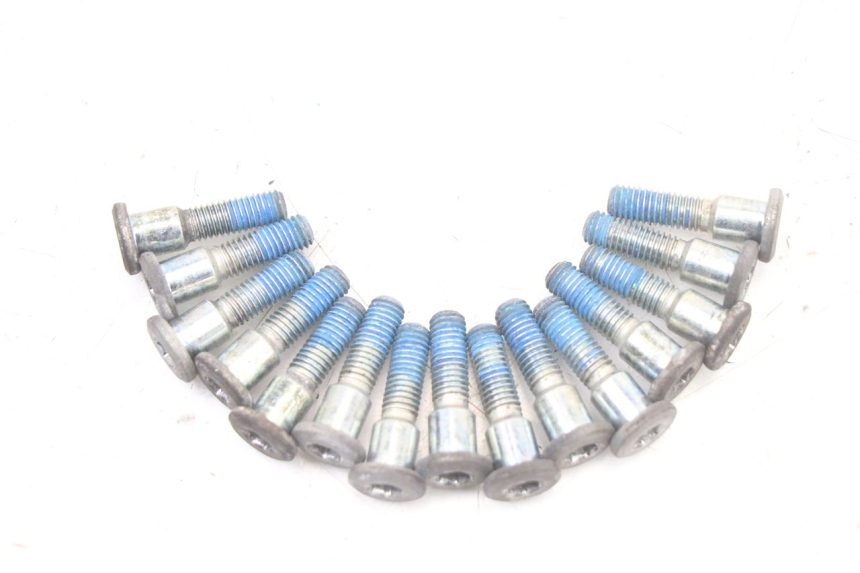 photo de BULLONE DEL DISCO DEL FRENO SUZUKI GSF S BANDIT 600 (2000 - 2004) - Zoom sullo stato d'uso