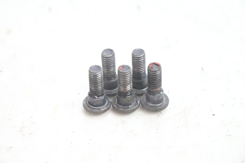 photo de BULLONE DEL DISCO DEL FRENO YAMAHA YP MAJESTY 125 (2002 - 2006) - Zoom sullo stato d'uso